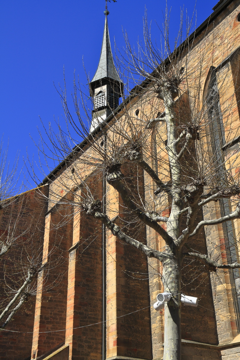 03.28 Elsass  MG 0134