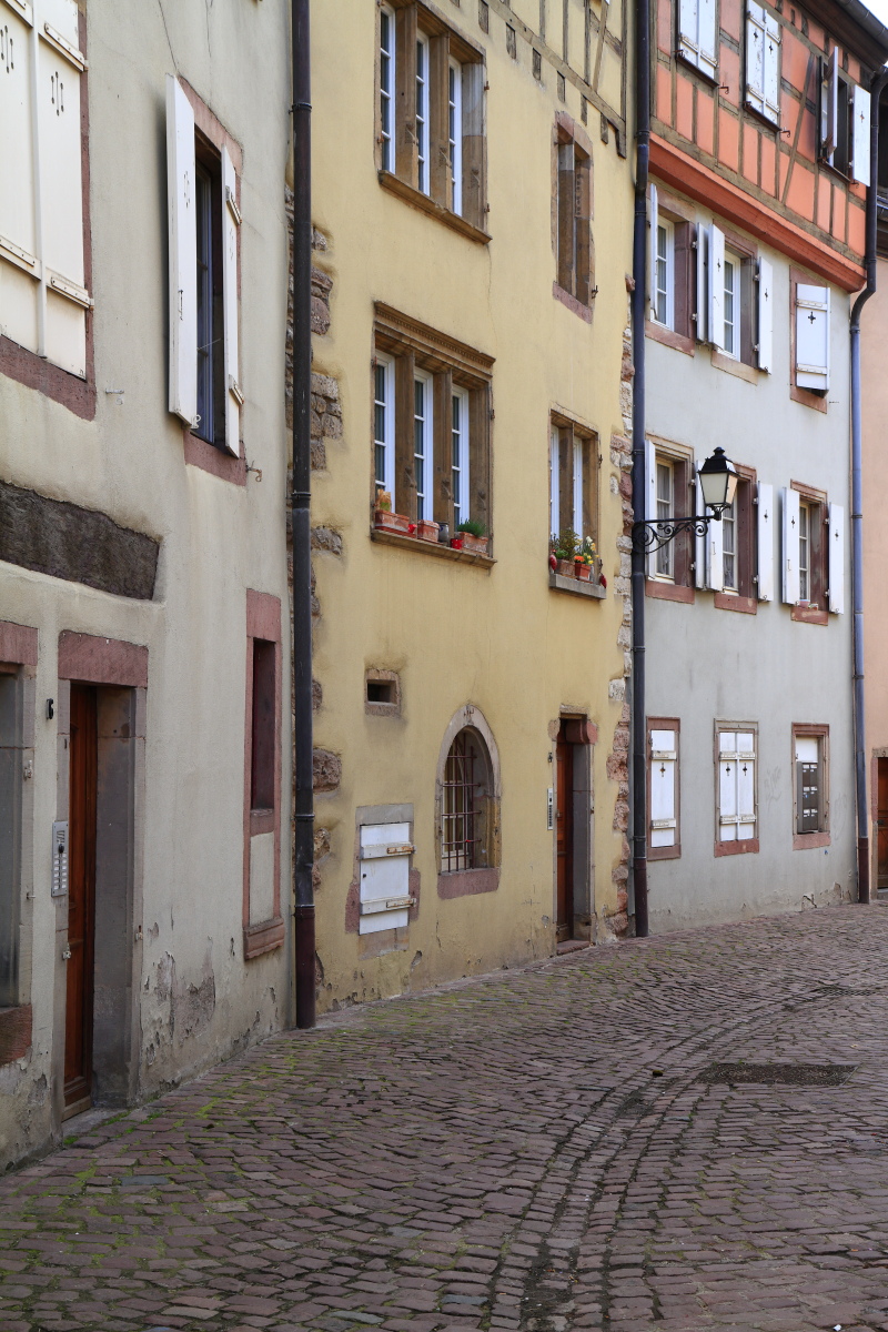 03.28 Elsass  MG 0150