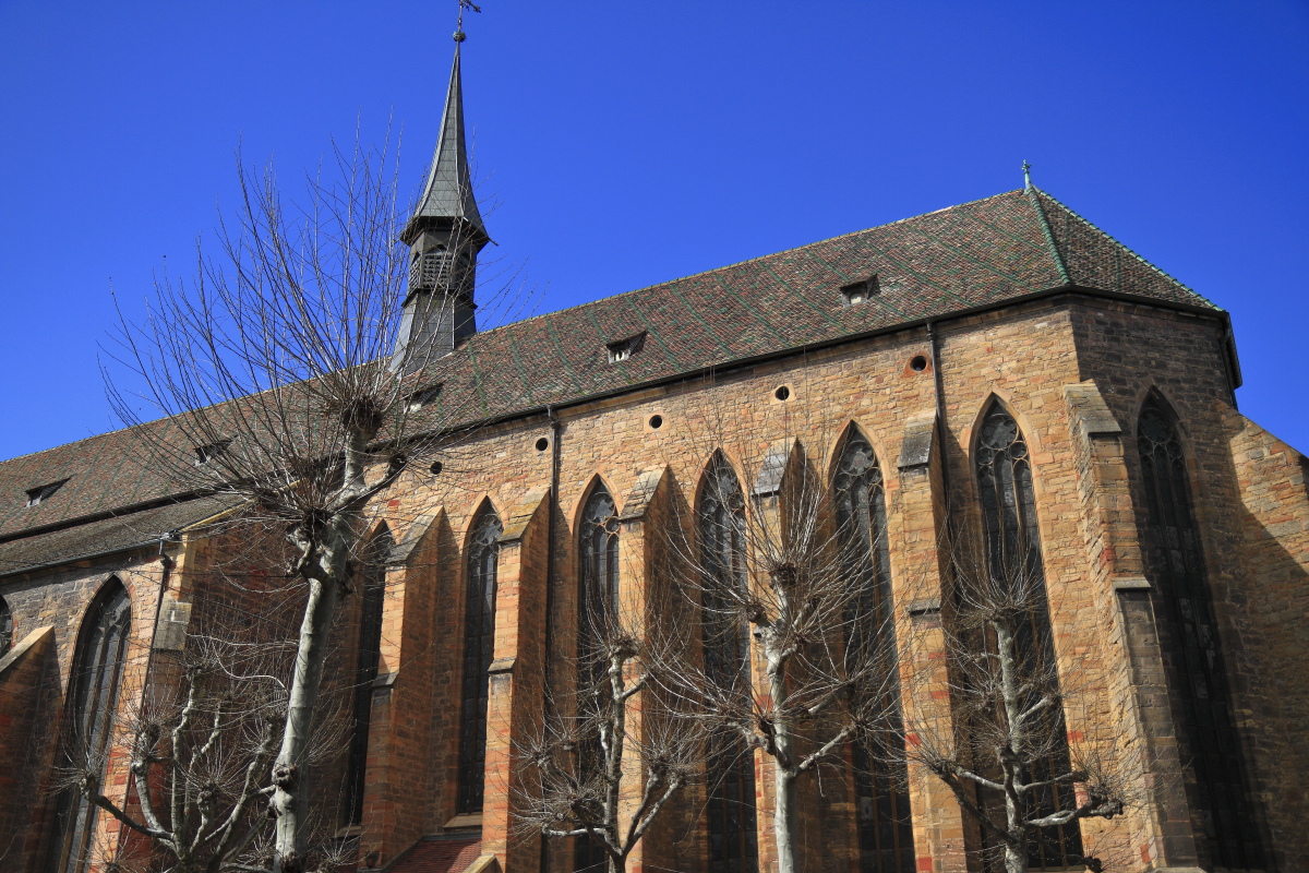 03.28 Elsass  MG 0177