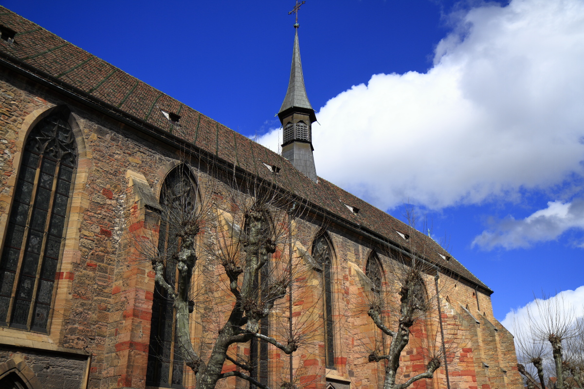 03.28 Elsass  MG 0178