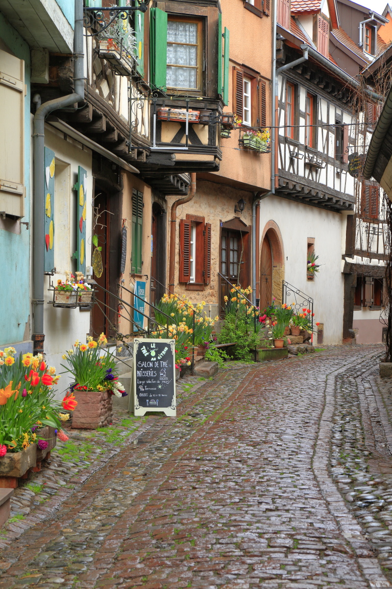 03.29 Elsass  MG 0211