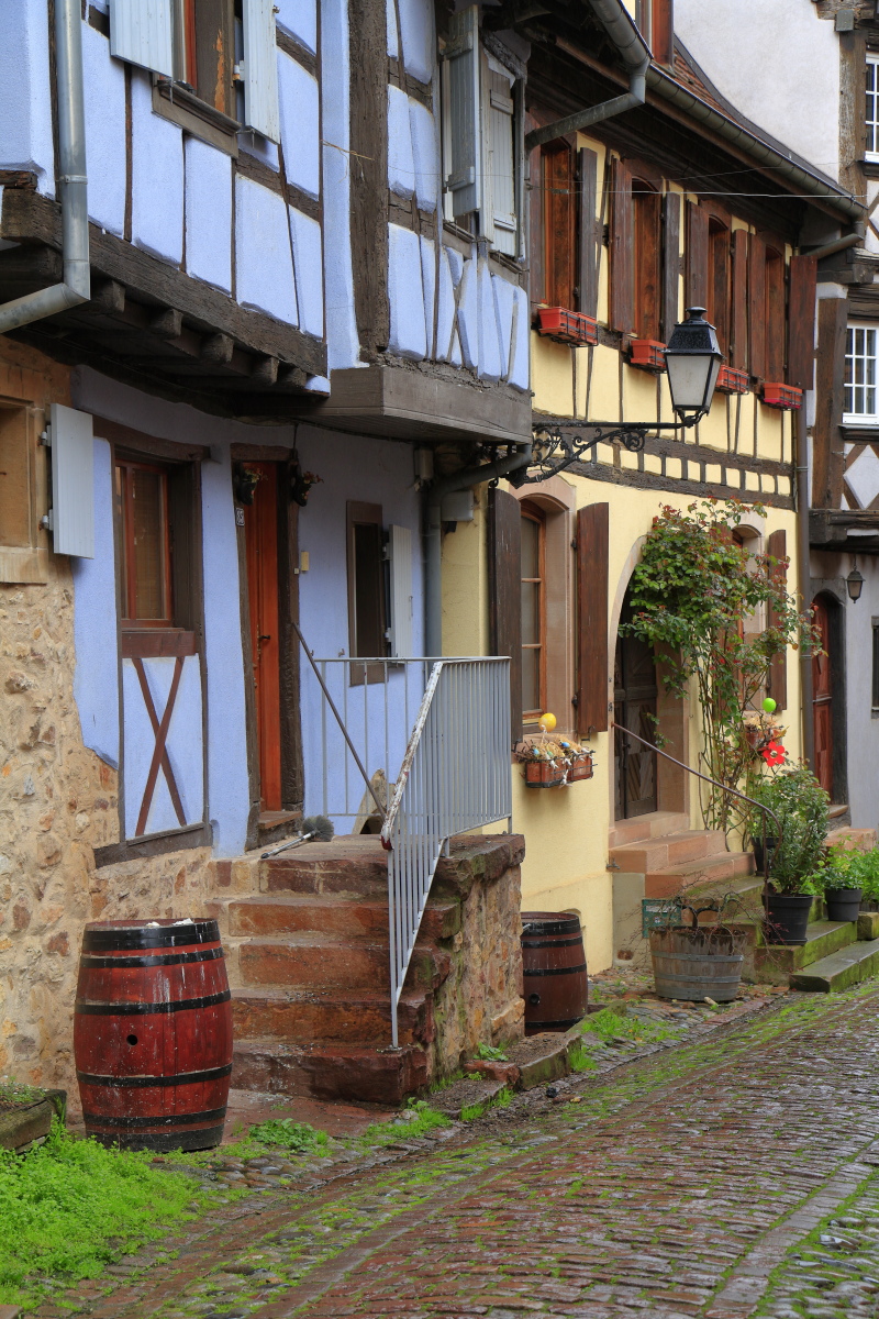 03.29 Elsass  MG 0214