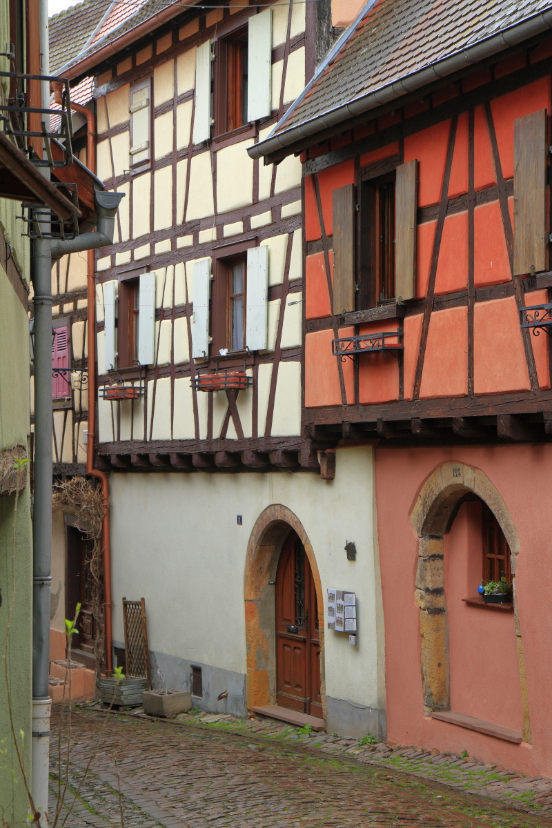 03.29 Elsass  MG 0234