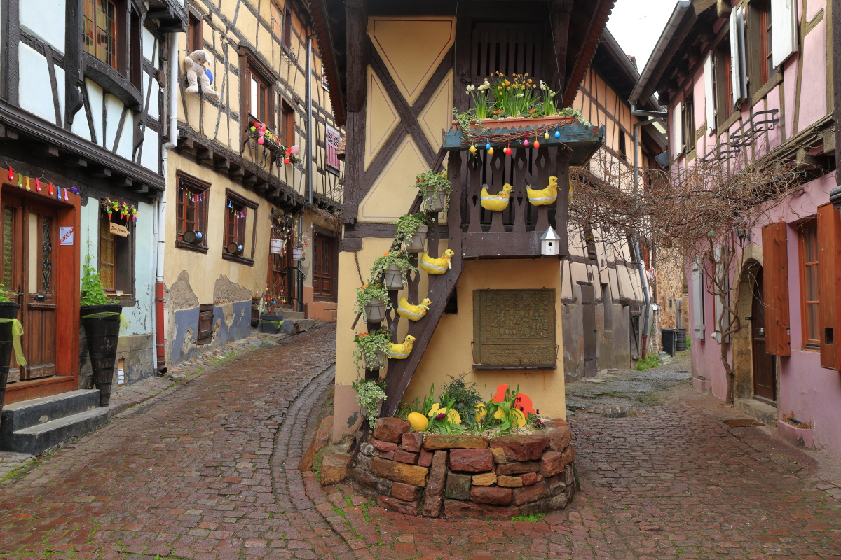 03.29 Elsass  MG 0238