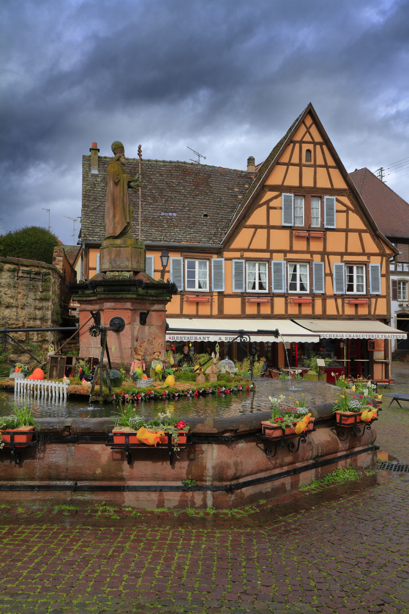 03.29 Elsass  MG 0242