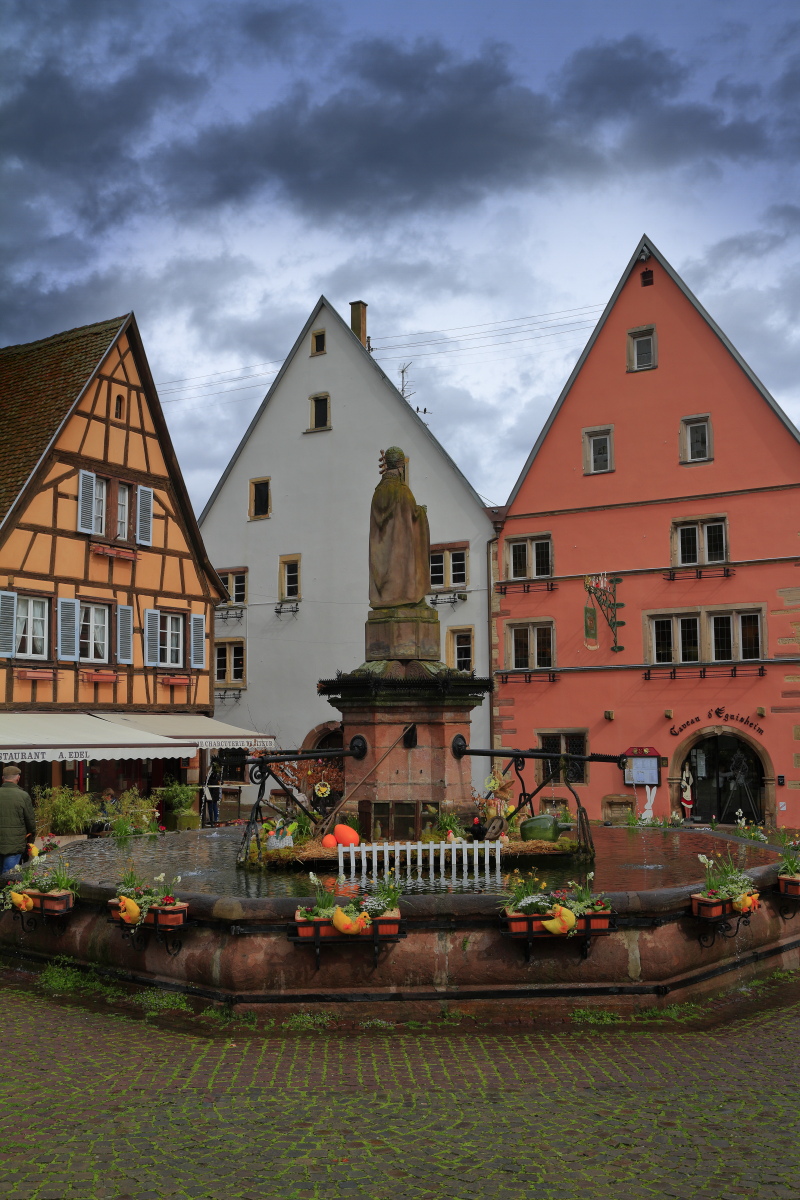 03.29 Elsass  MG 0244