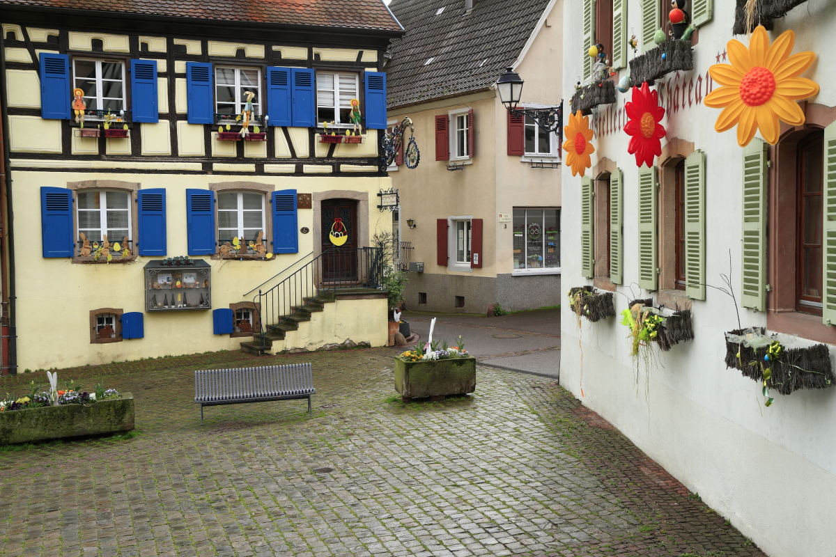 03.29 Elsass  MG 0247