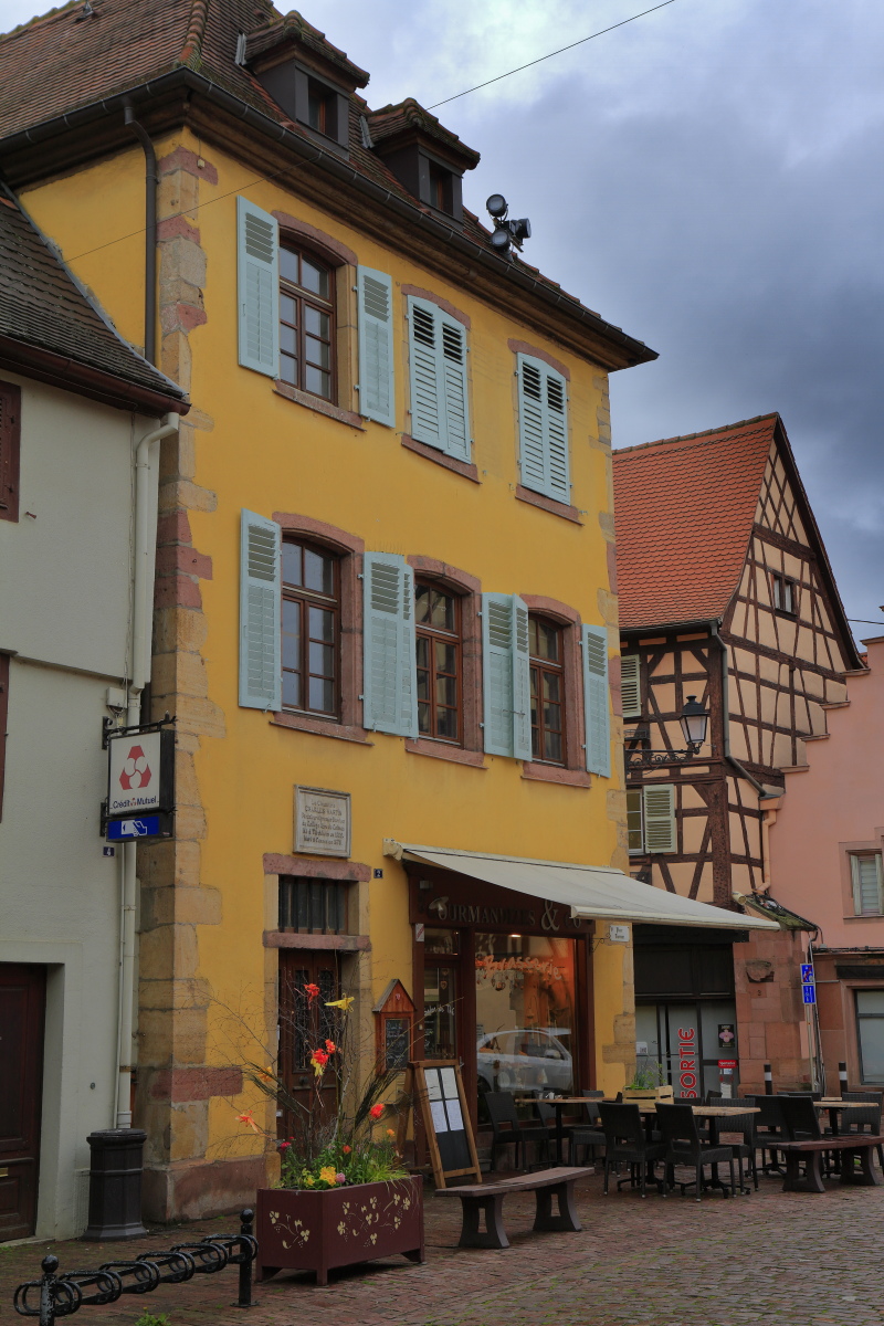 03.29 Elsass  MG 0254