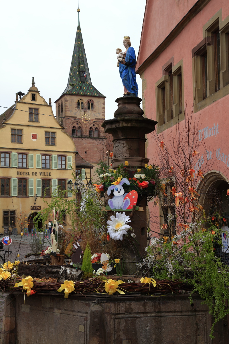 03.29 Elsass  MG 0258