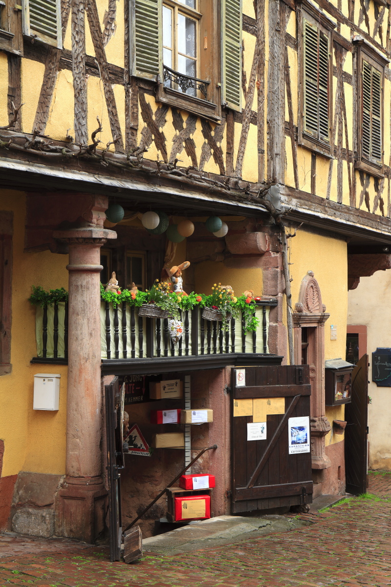 03.29 Elsass  MG 0274