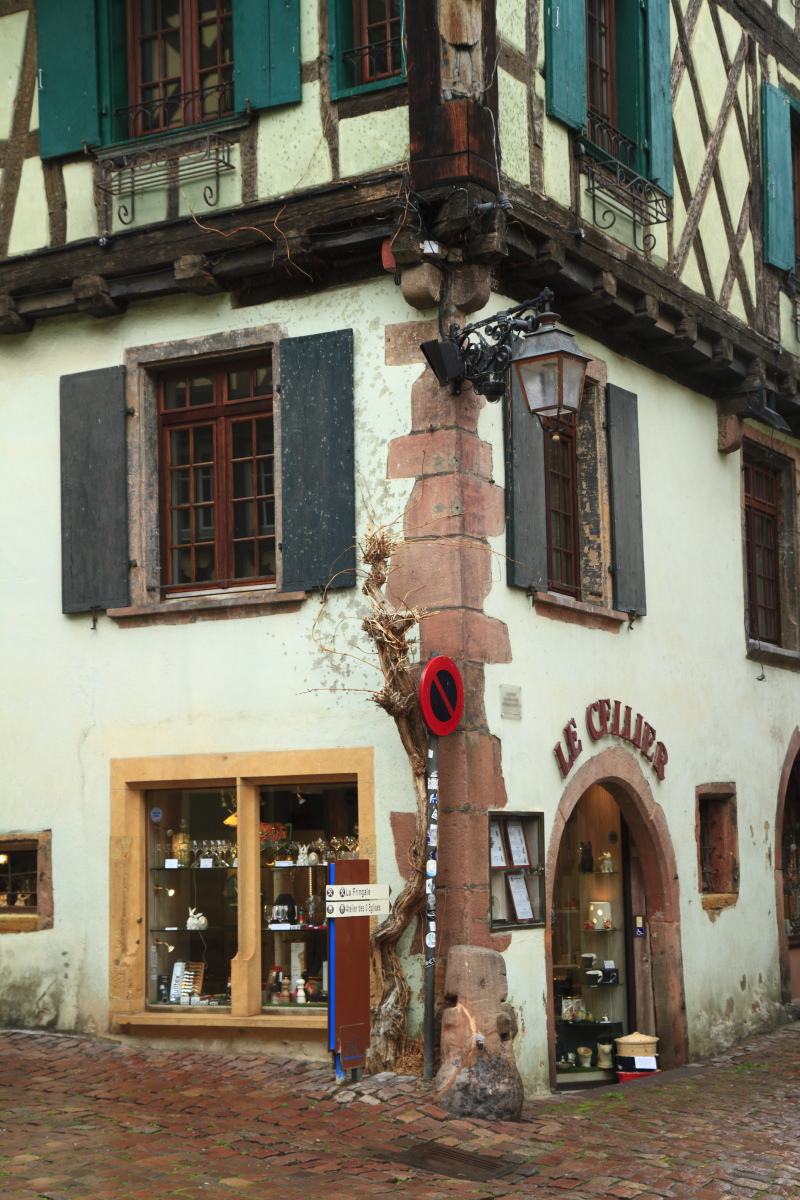 03.29 Elsass  MG 0277