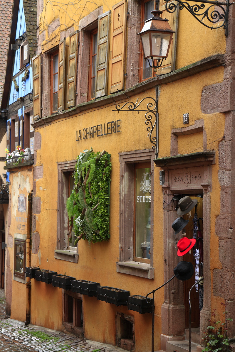 03.29 Elsass  MG 0288