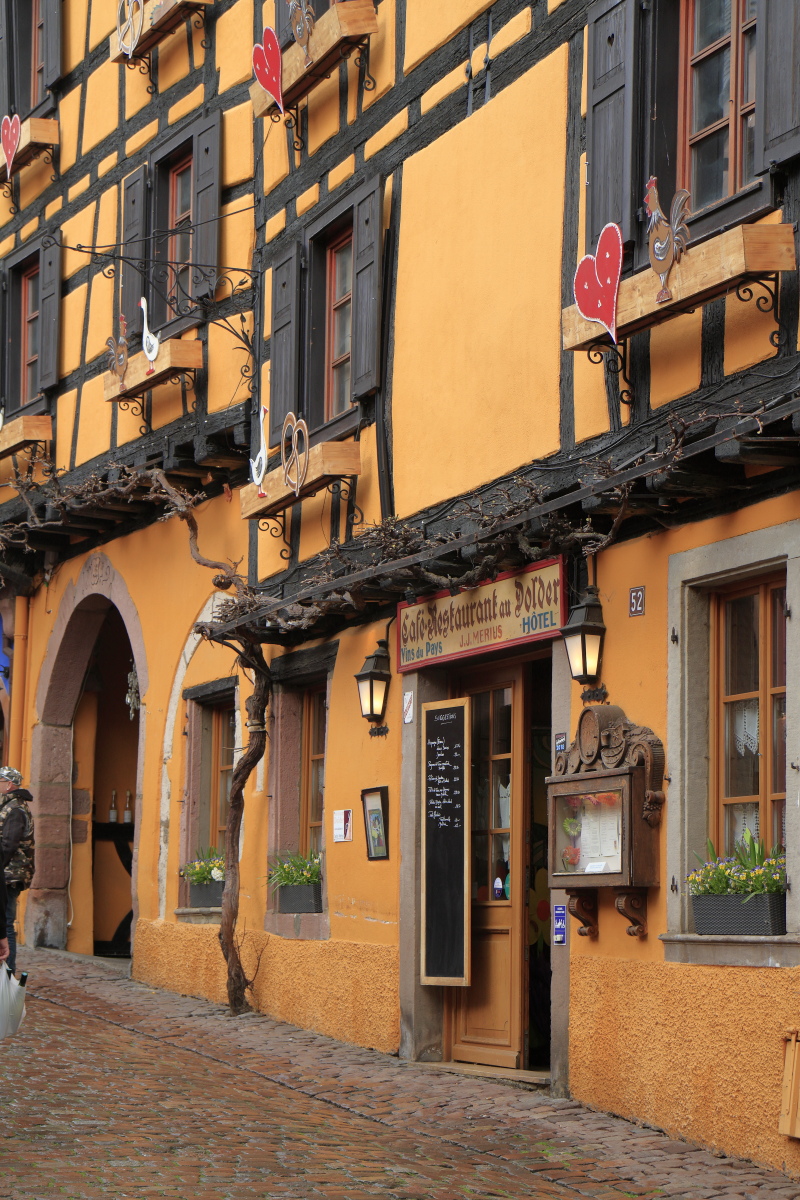 03.29 Elsass  MG 0289