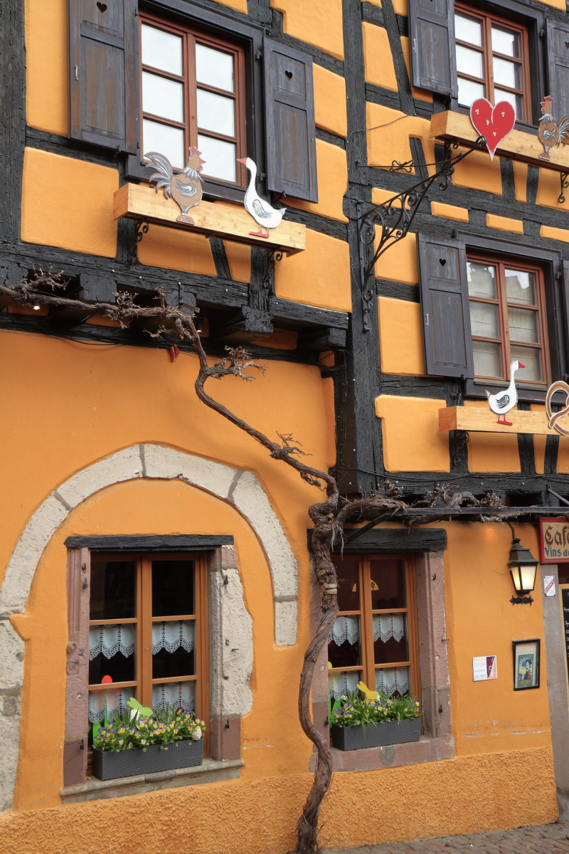 03.29 Elsass  MG 0292