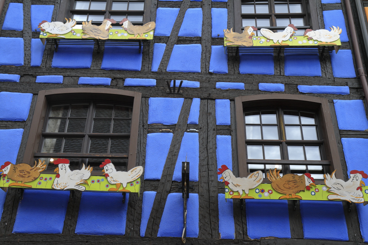 03.29 Elsass  MG 0293