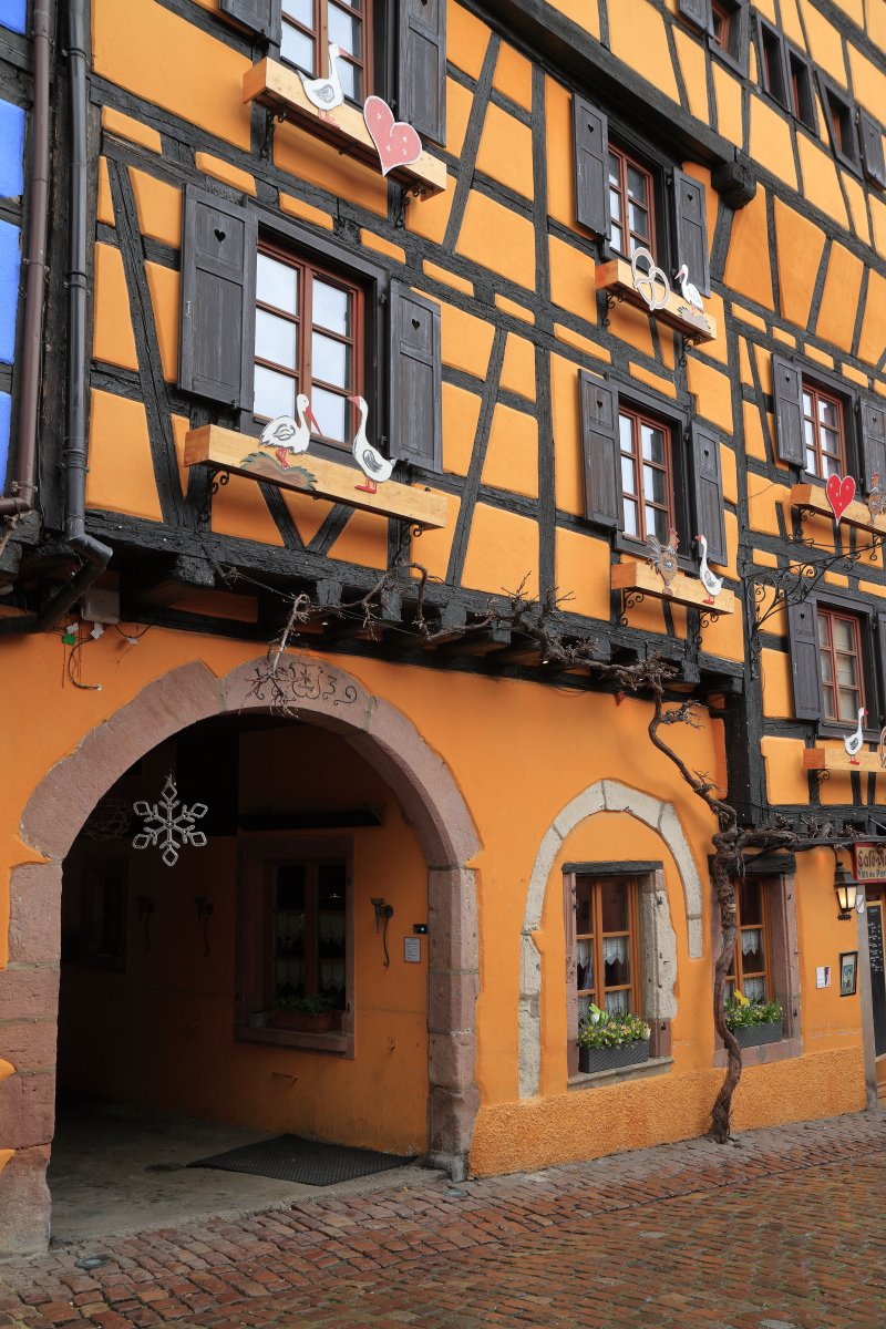 03.29 Elsass  MG 0295