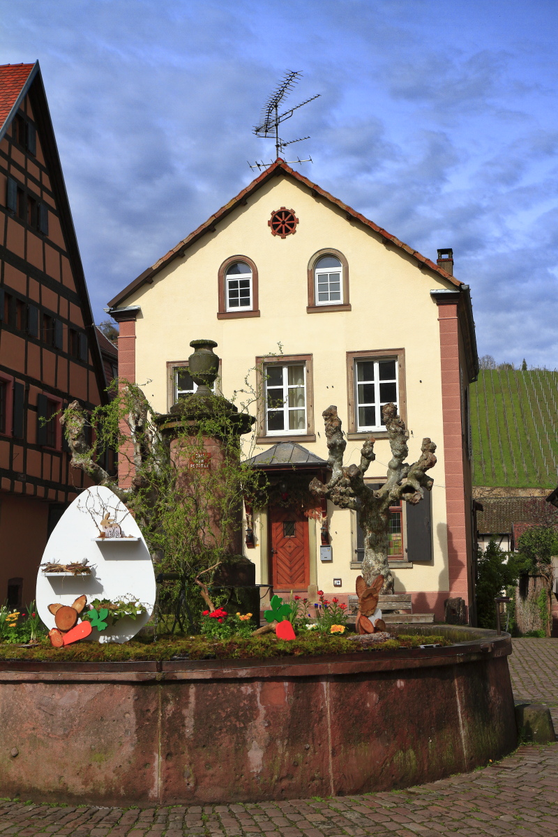 03.29 Elsass  MG 0327