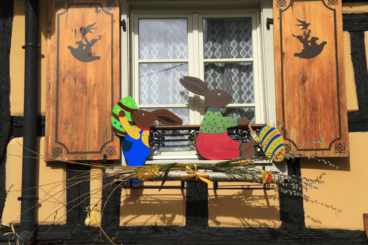 03.29 Elsass  MG 0329