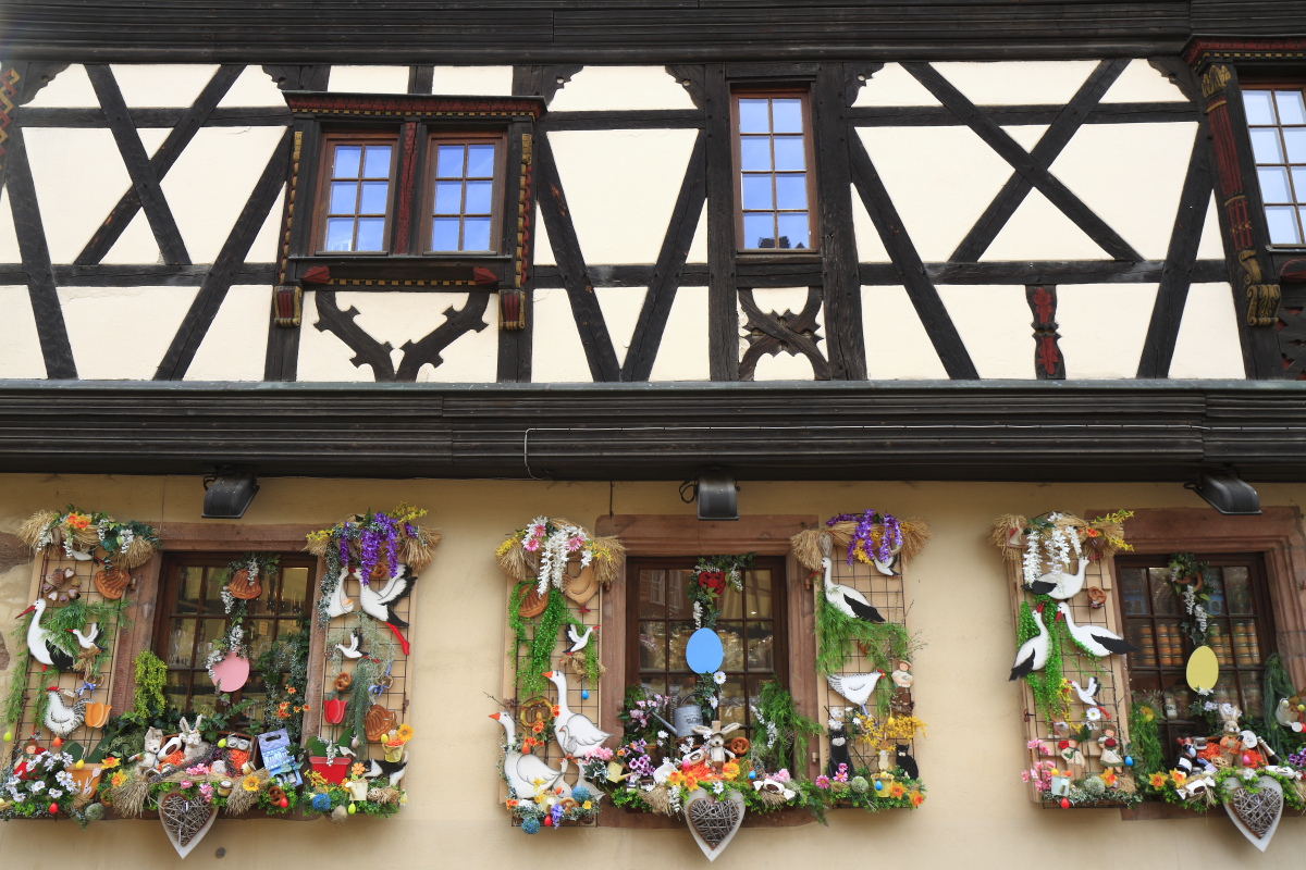 03.29 Elsass  MG 0361