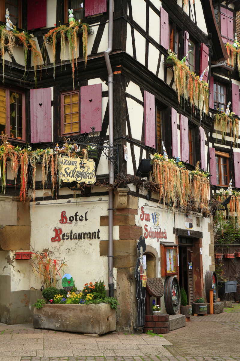 03.30 Elsass  MG 0419