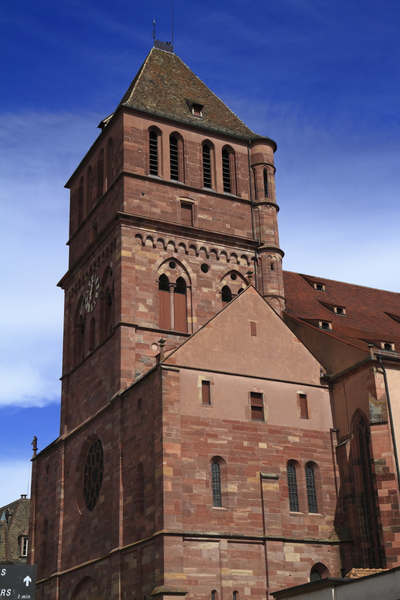 03.31 Elsass  MG 0495