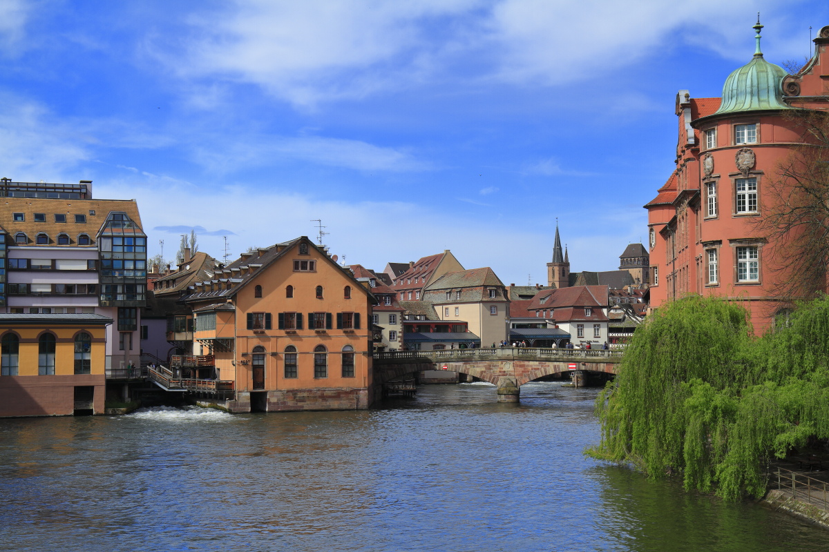 03.31 Elsass  MG 0497