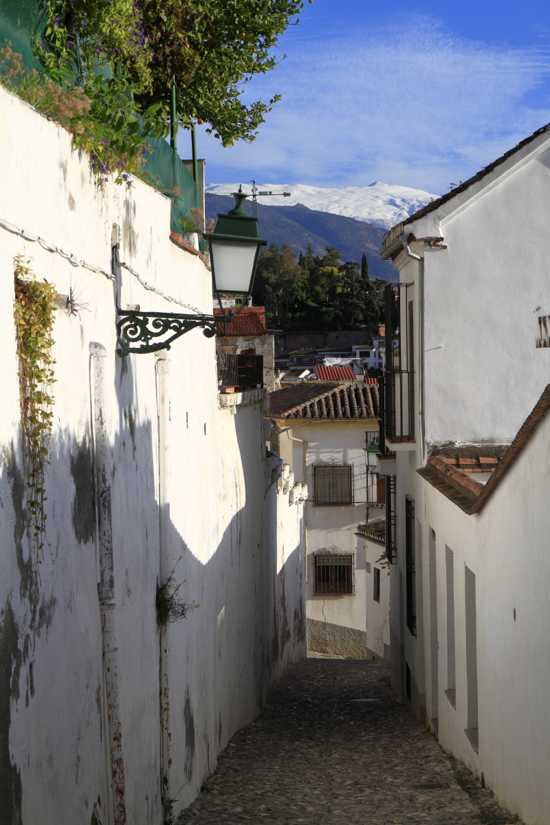 11.06 Andalusien  MG 4420