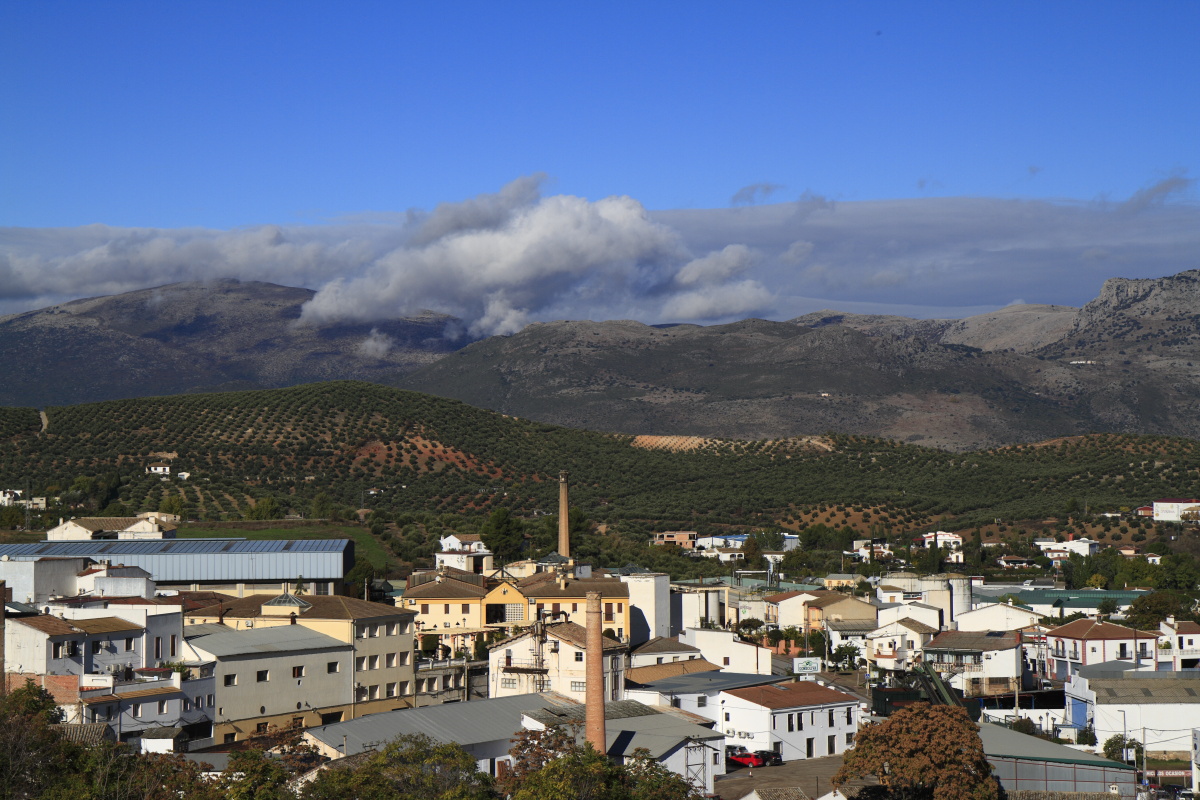 11.08 Andalusien  MG 4626