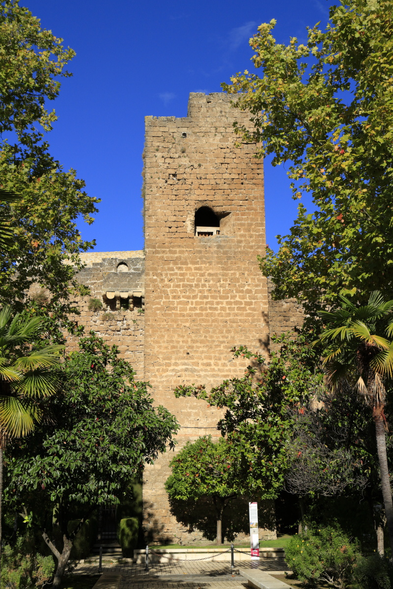 11.08 Andalusien  MG 4627