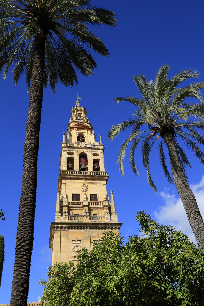 11.09 Andalusien  MG 4662