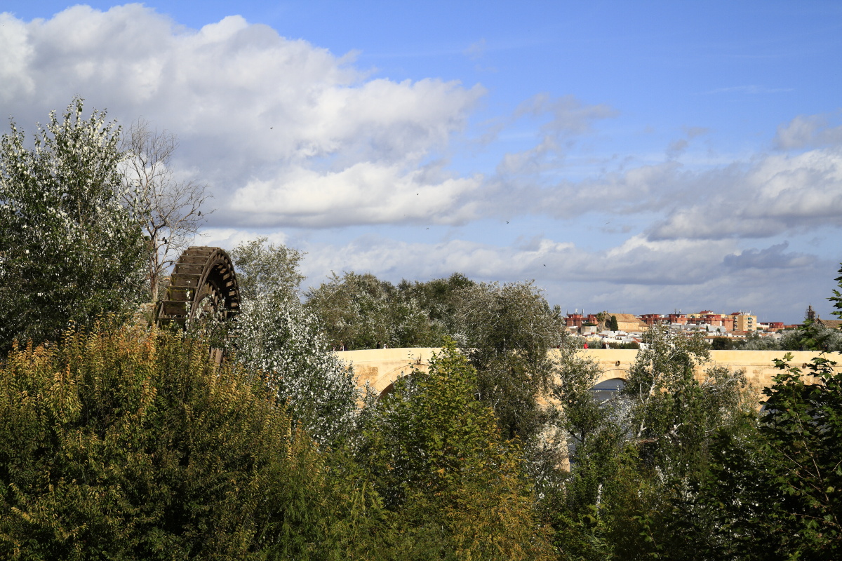 11.09 Andalusien  MG 4695