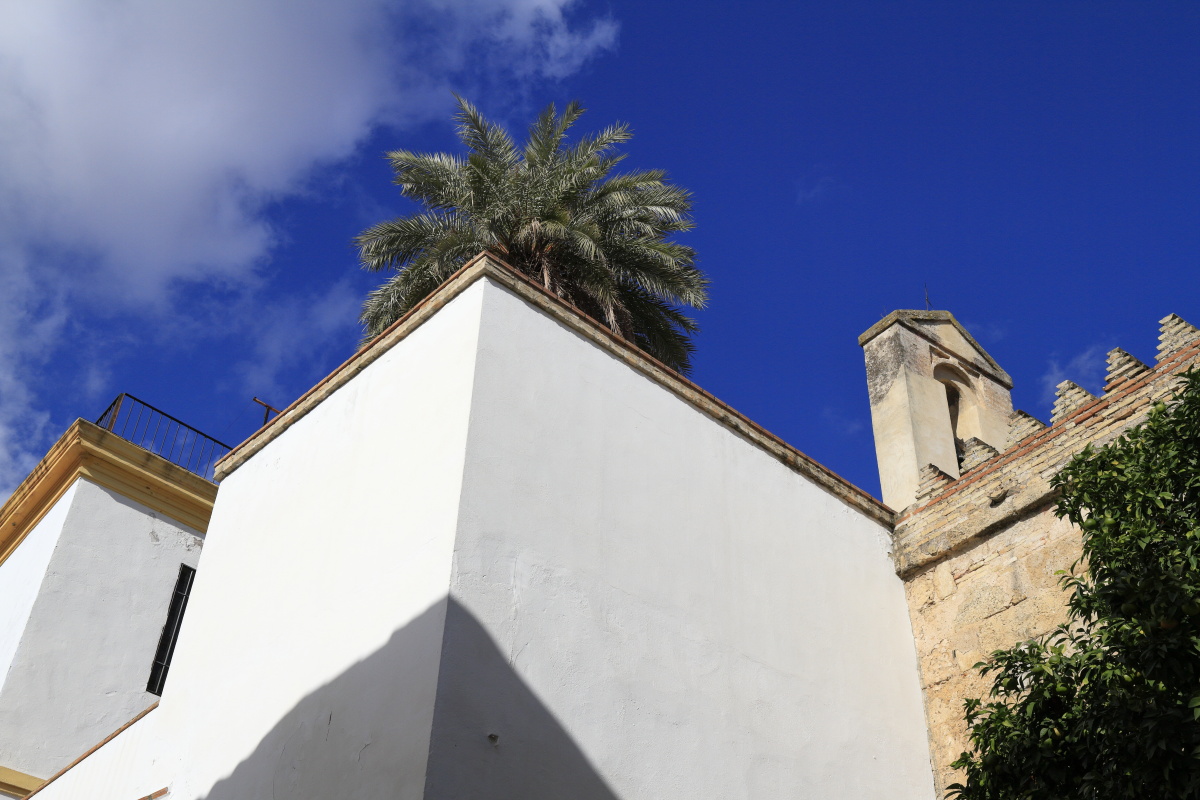 11.09 Andalusien  MG 4705