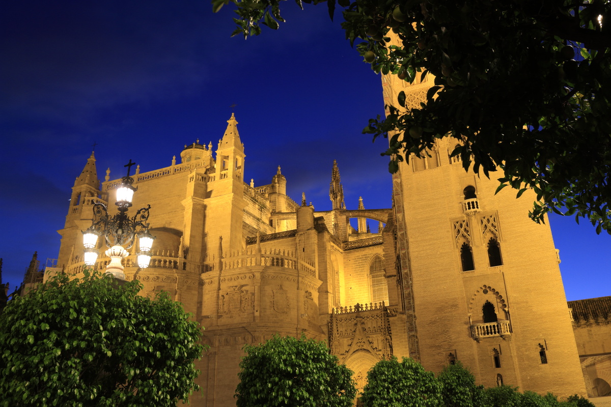 11.11 Andalusien  MG 4918