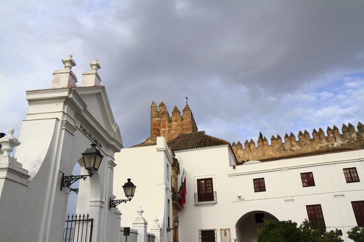 11.14 Andalusien  MG 5077