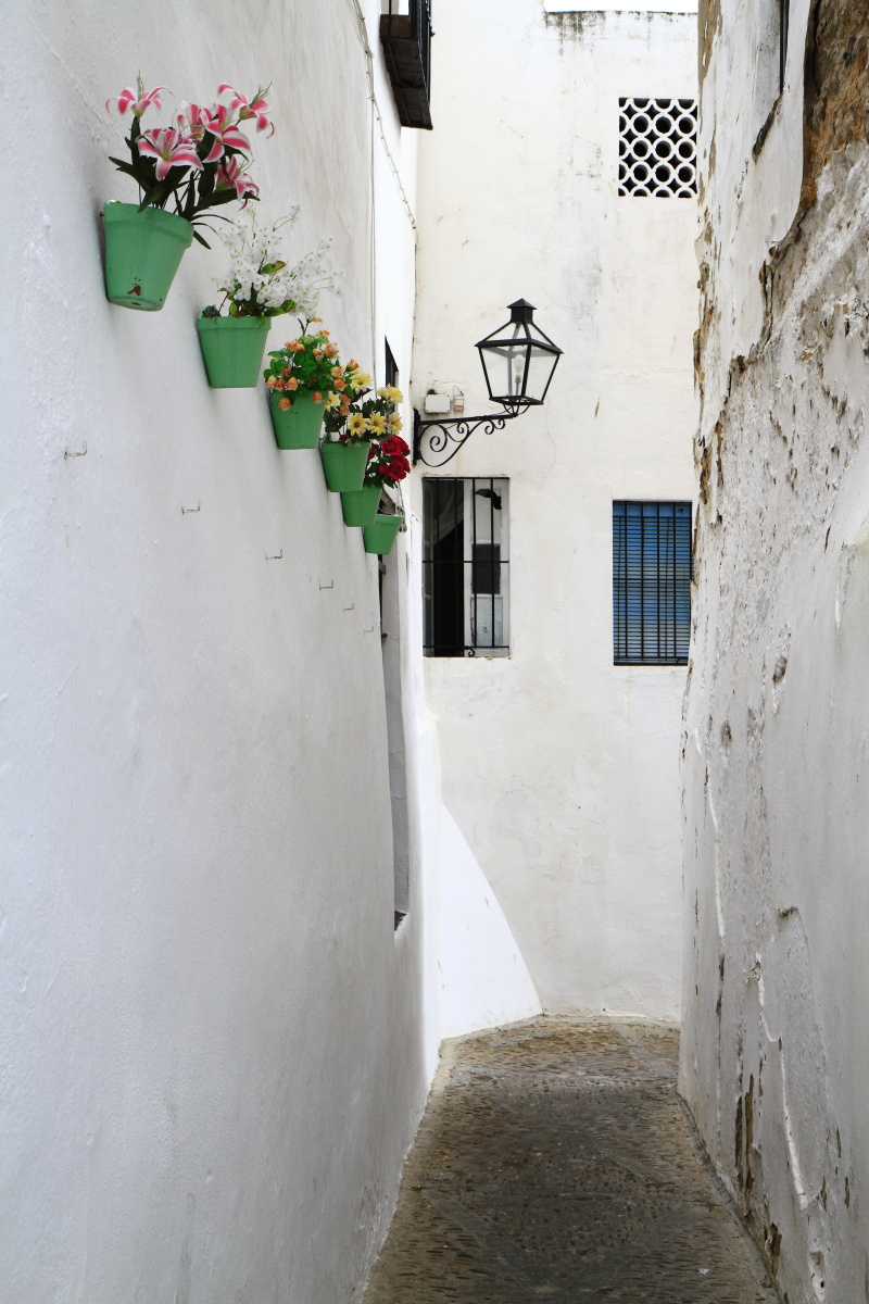 11.14 Andalusien  MG 5085