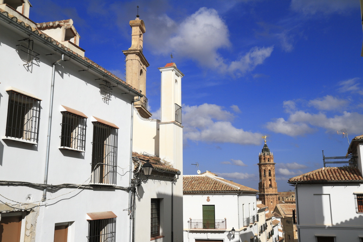 11.17 Andalusien  MG 5340