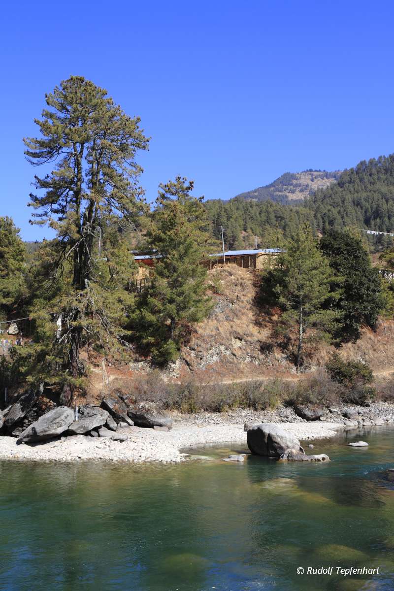 River in Himalaya Mountain