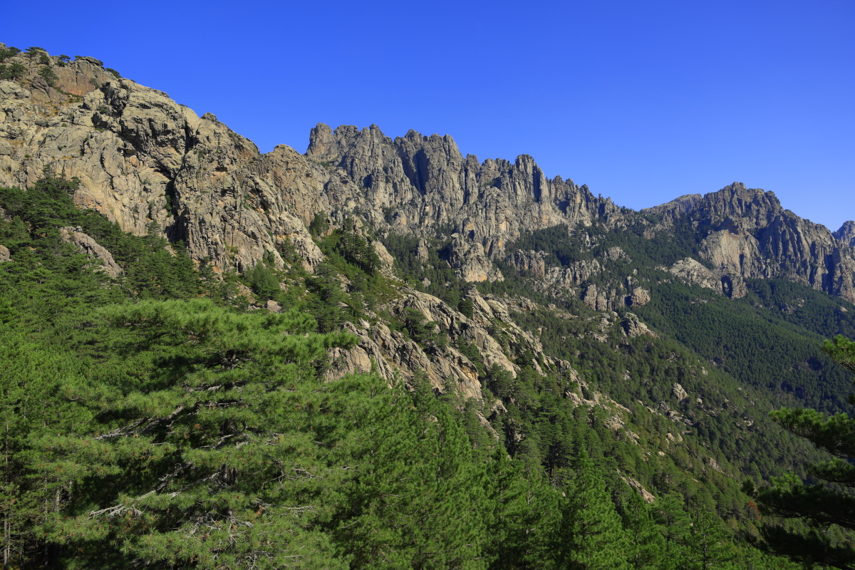 08.11 Korsika  08A0880