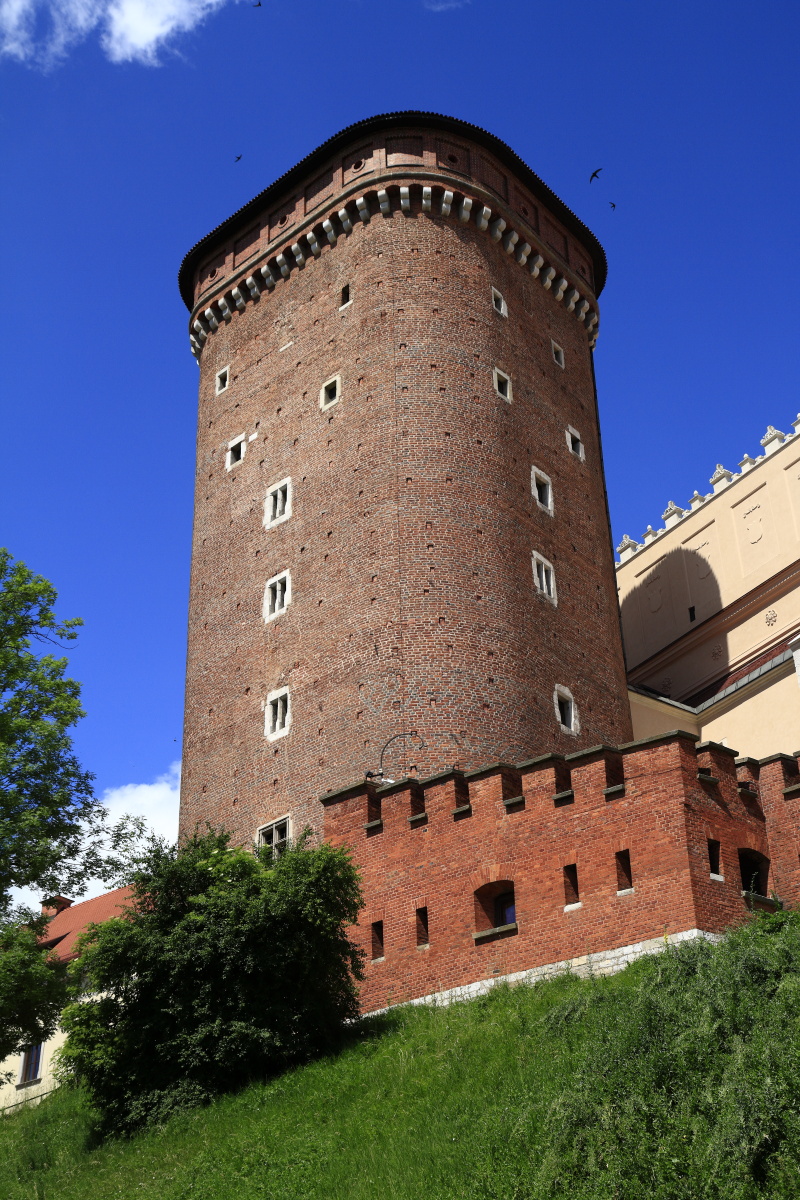 06.01 Krakau  MG 0998