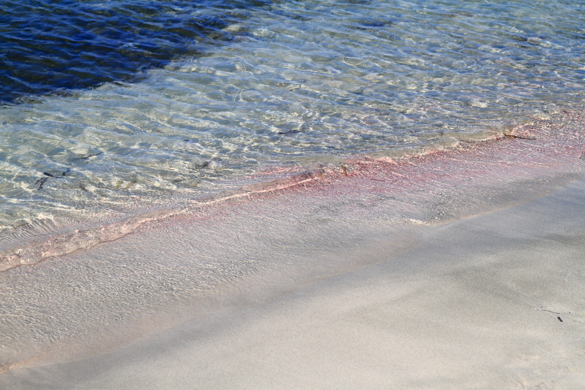 08.15 Kreta  MG 2580