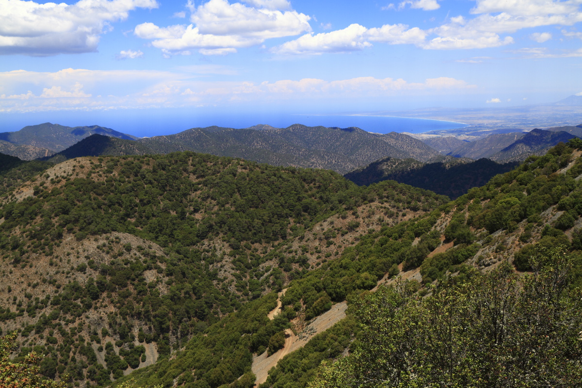 05.29 Zypern  MG 2320