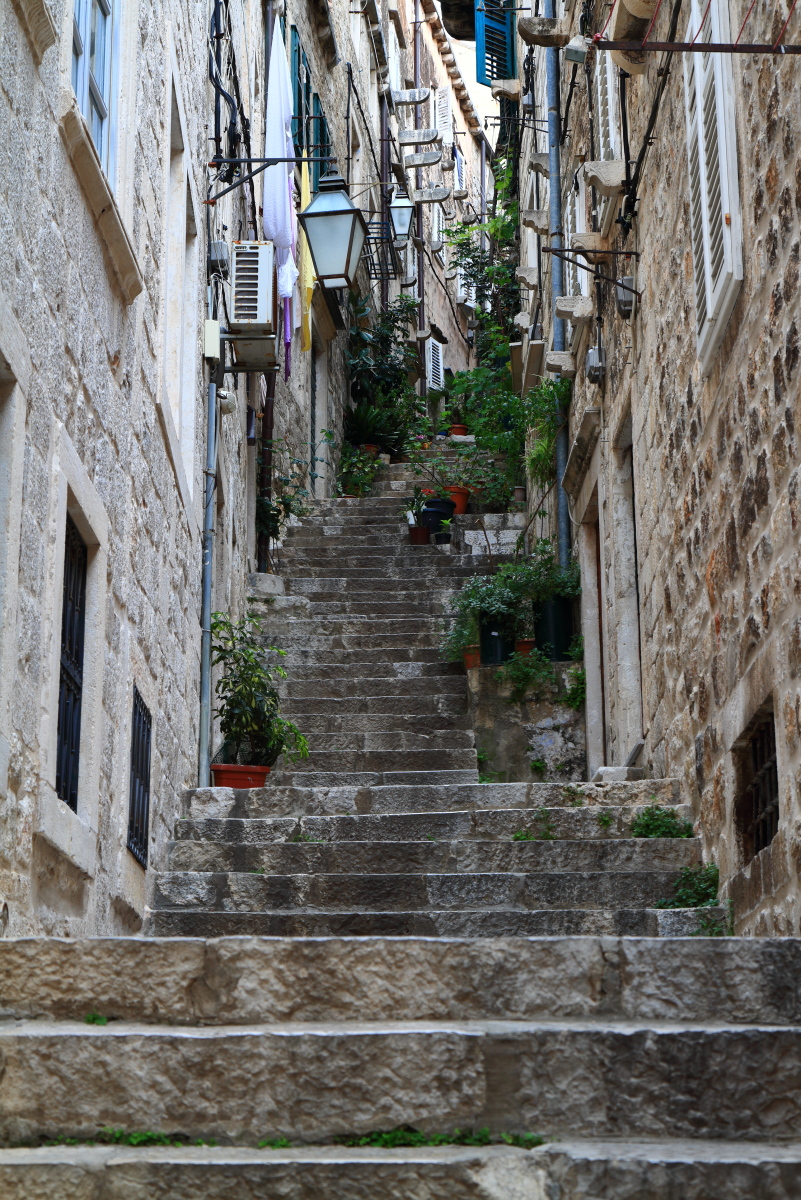 06.14 Dalmatien  MG 9795