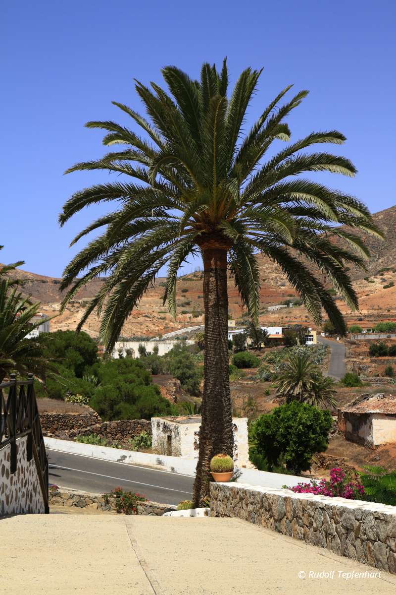 Cathedral of Saint Mary of Betancuria in Fuerteventura