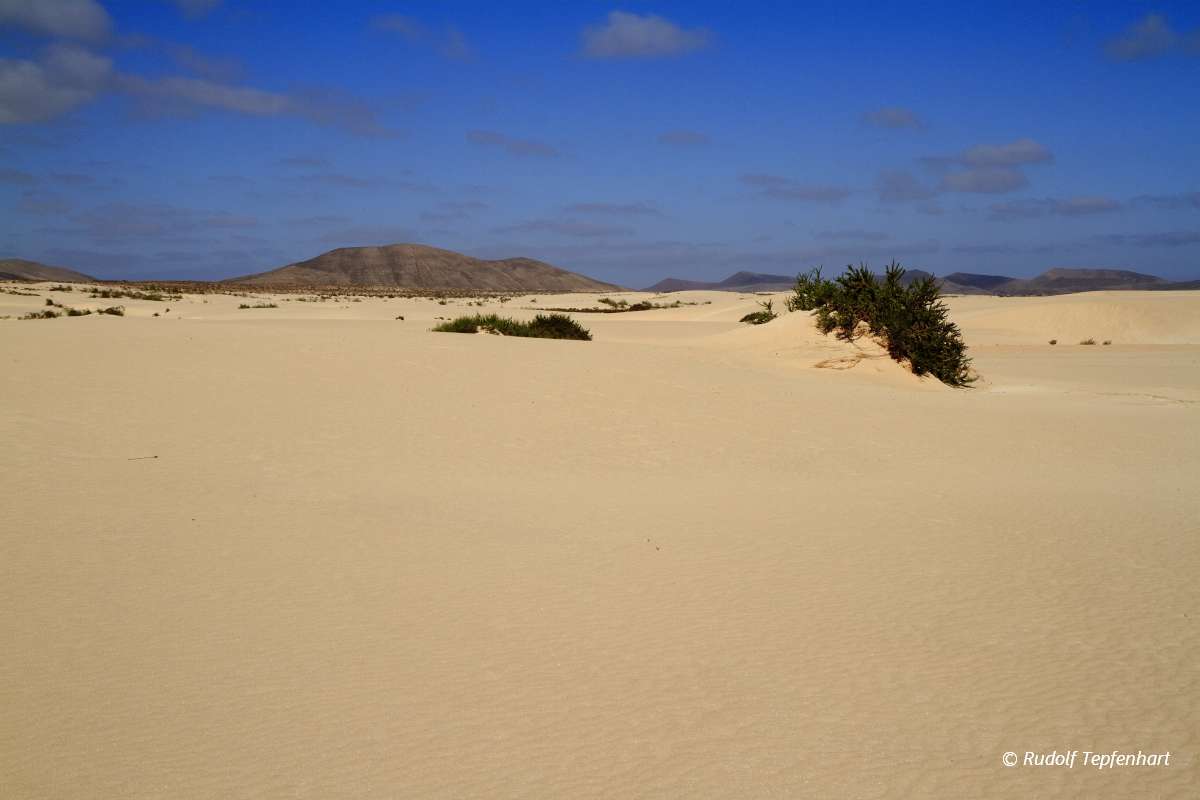 Dunes of Corralejo, Fuerteventura