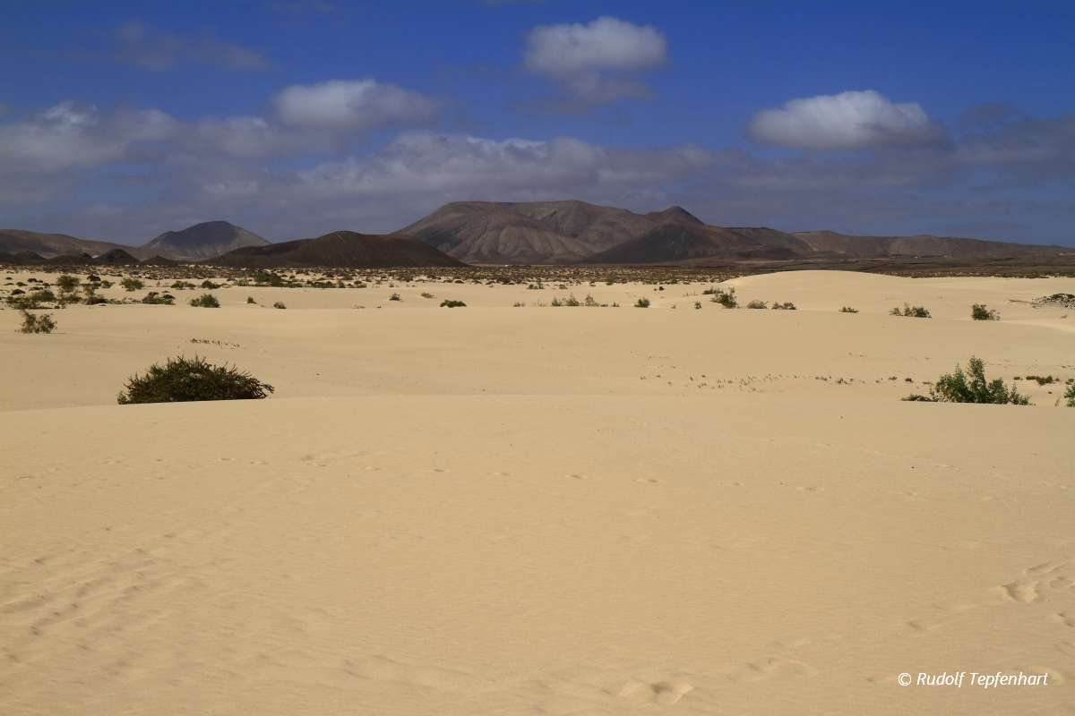 Dunes of Corralejo, Fuerteventura