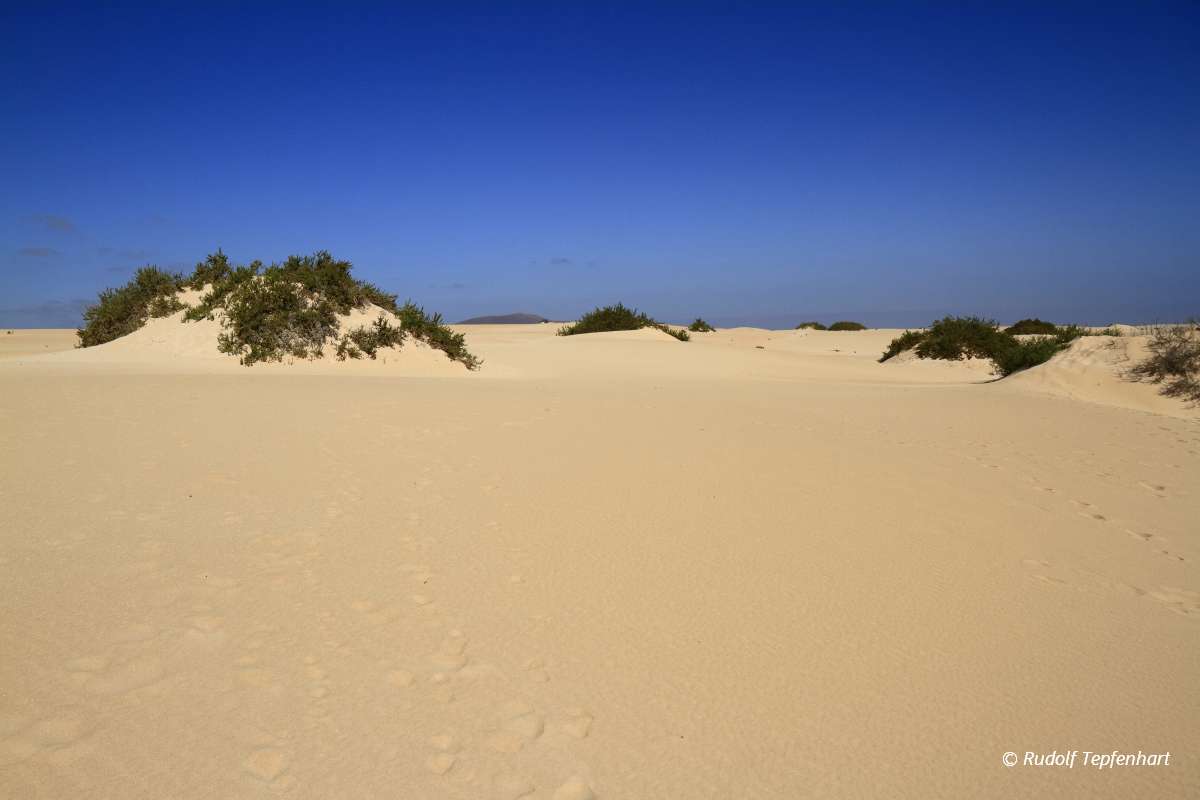Dunes of Corralejo, Fuerteventura