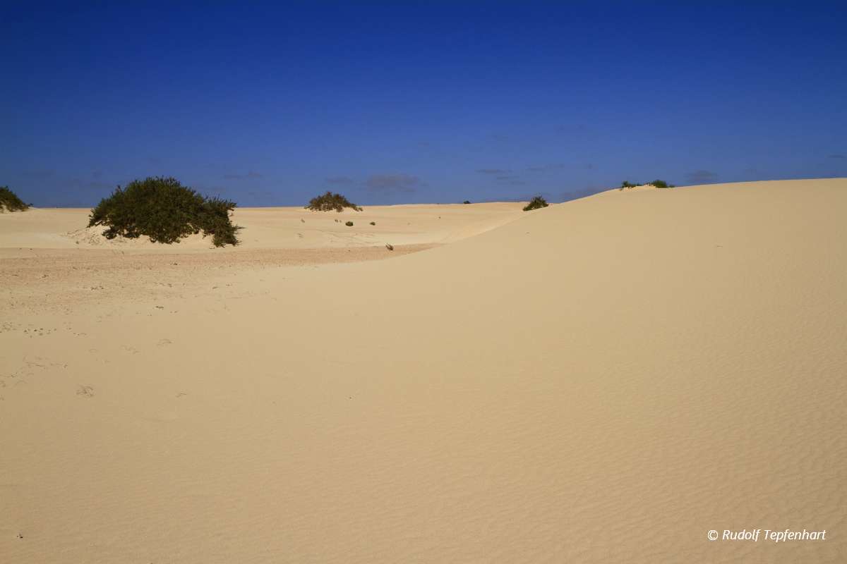 Dunes of Corralejo, Fuerteventura