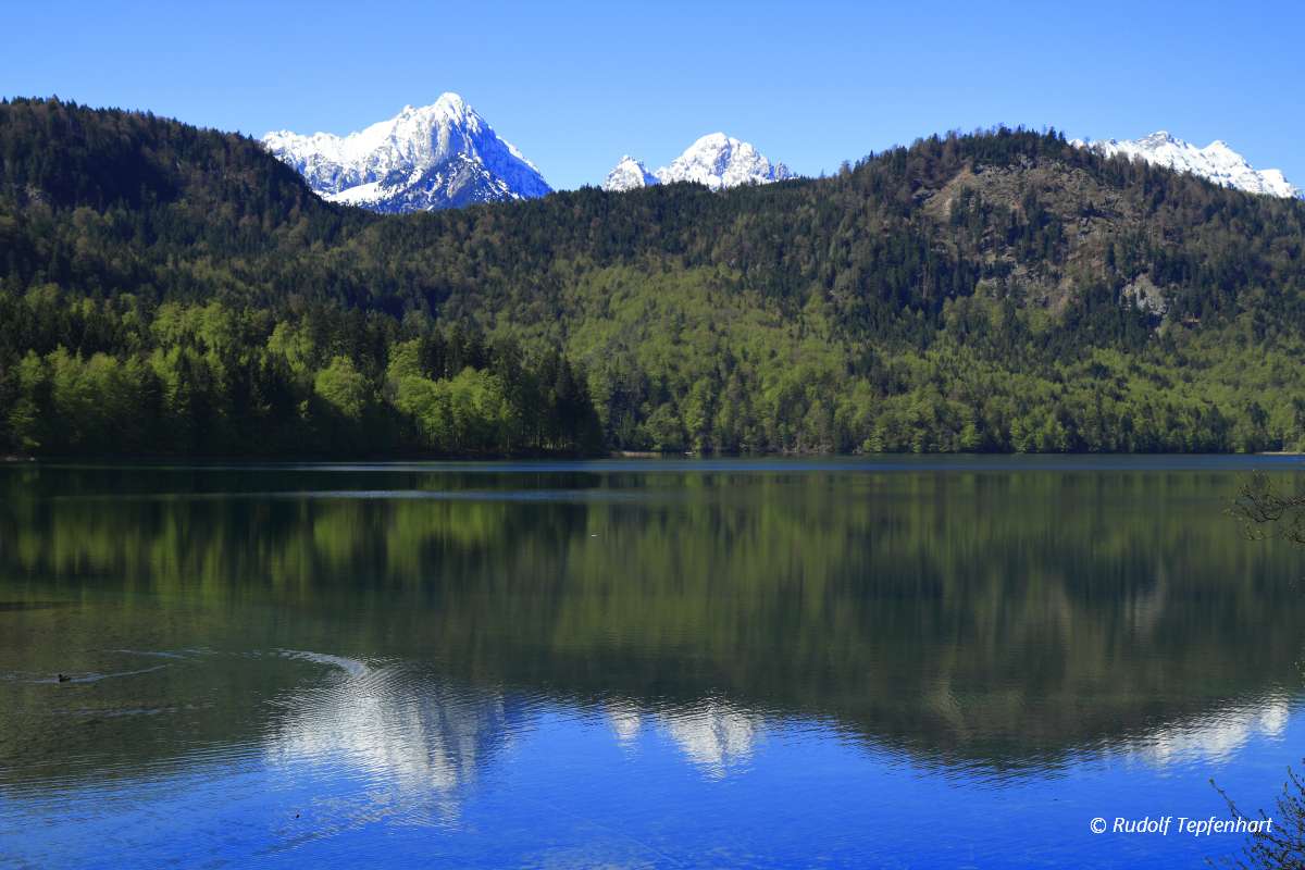 Hohenschwangau and Alpsee Lake