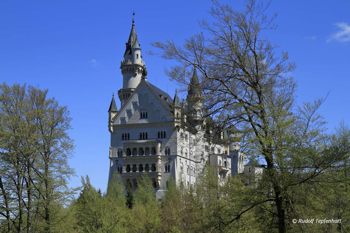 Neuschwanstein Castle in the Bavarian Alps