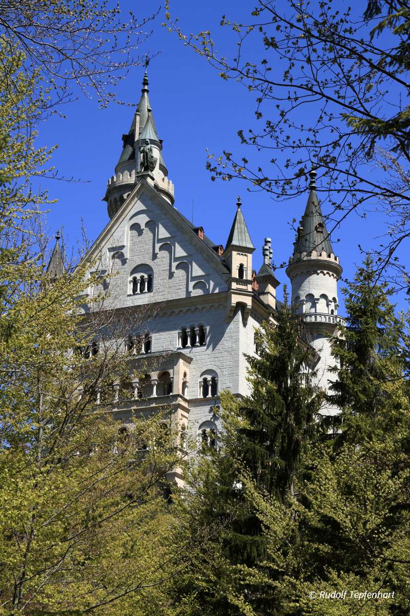 Neuschwanstein Castle in the Bavarian Alps